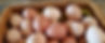 farmfresheggs_edited.jpg